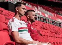 平博体育-奥地利与波黑世预赛