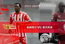 勒沃库森百科 勒沃库森百科